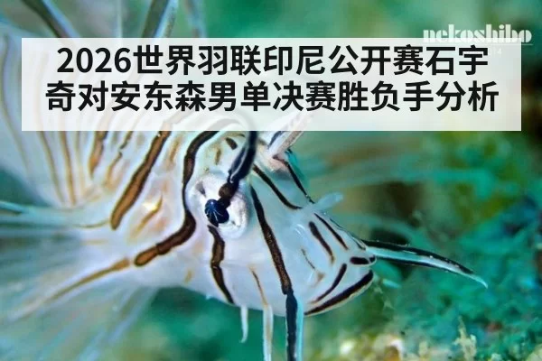 2026世界羽联印尼公开赛石宇奇对安东森男单决赛胜负手分析